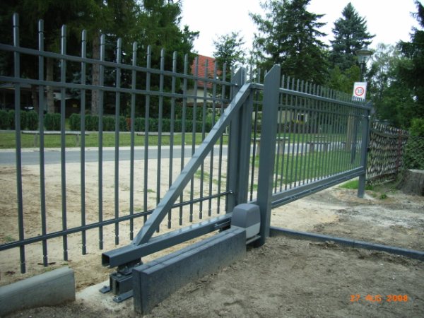 RIMG1728_5.JPG