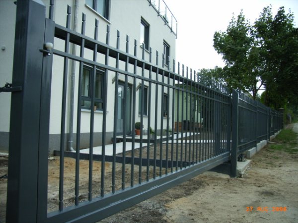 RIMG1729_6.JPG